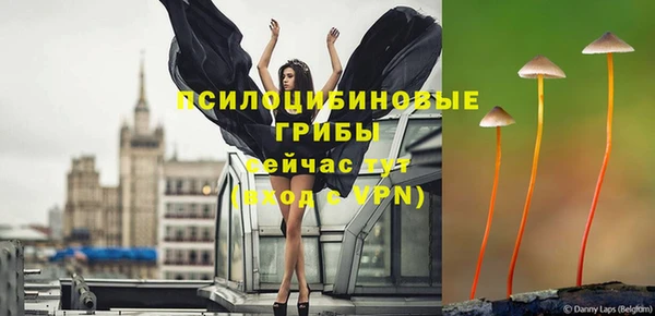 альфа пвп Каменногорск