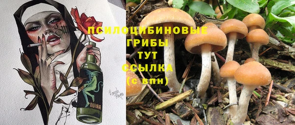 альфа пвп Каменногорск