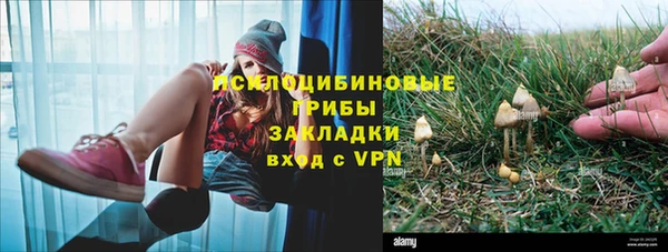 марки nbome Каменка