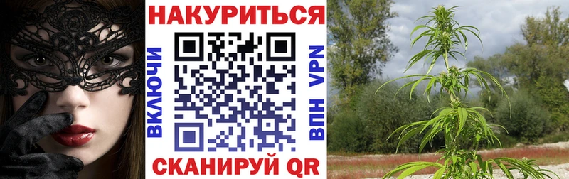 МАРИХУАНА семена Староминская